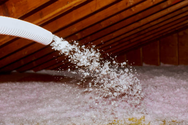 Best Garage Insulation Installation  in Hildebran, NC