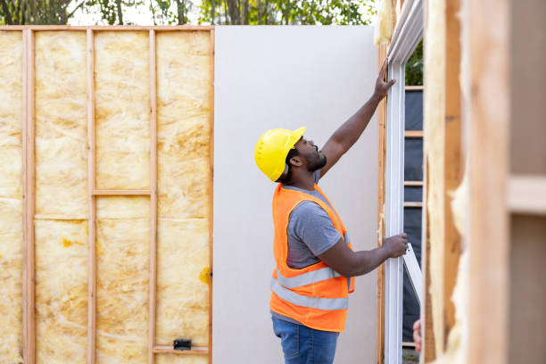 Best Insulation Removal  in Hildebran, NC