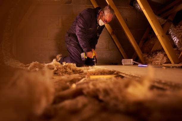 Best Local Insulation Services  in Hildebran, NC