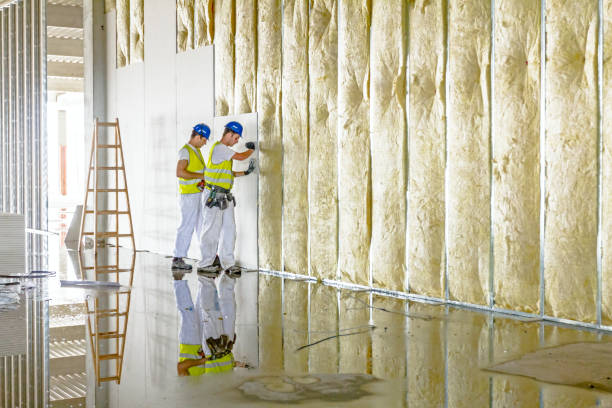 Best Commercial Insulation Contractor  in Hildebran, NC